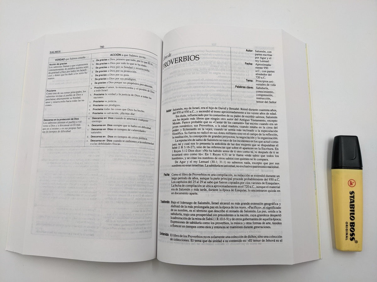 Biblia RVR 1960 de Estudio Plenitud Rústica